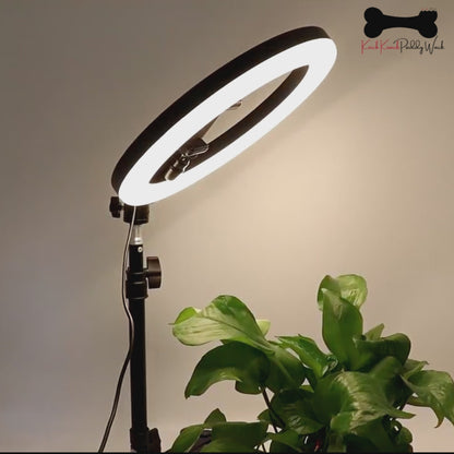 12" LED Ring Light Dimmable Lighting Phone Selfie Tripod Kit Makeup Live Lamp