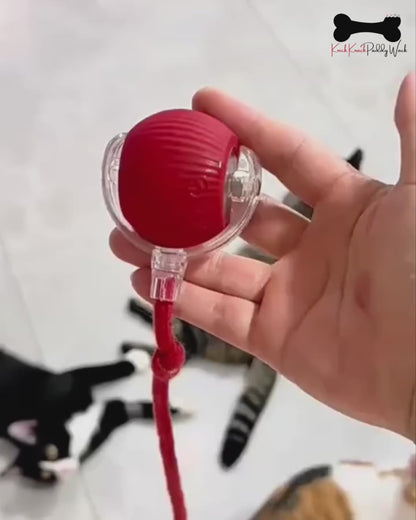 Interactive Dog & Cat Toy Rechargeable Rolling Ball with Fake Tail Pet Fun