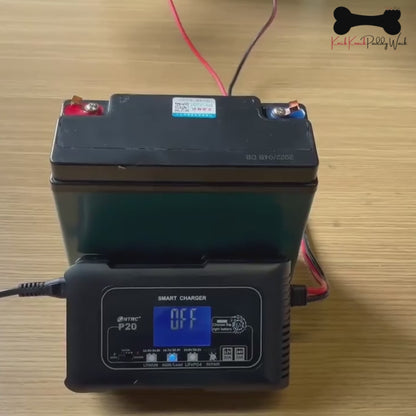 Automatic Lithium Battery Charger 20A 12V/24V For Lifepo4 Lead-Acid AGM/Gel/SLA