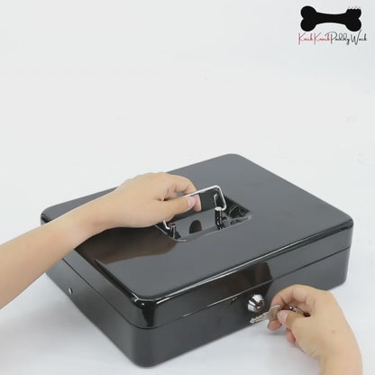 Cash Box Safe Portable Coin Box Metal Lock Security Bank with Storage Tray 2 Key