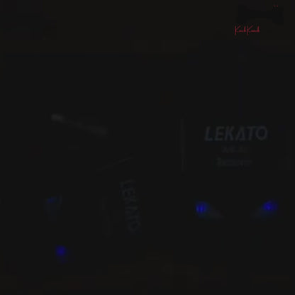 LEKATO Wireless Guitar Transmitter Receiver Audio System 2.4Ghz ISM 4 Channel